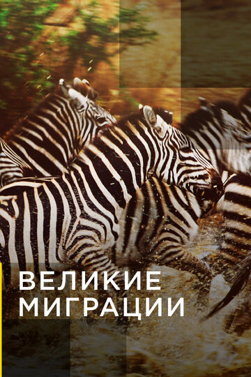 Смотреть Великие миграции (2010) онлайн в Хдрезка качестве 720p